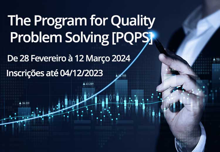 The Program for Quality Problem Solving [PQPS]